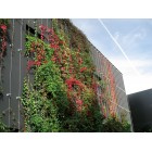Verticaal beplanten