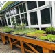 Biodivers plantpakket