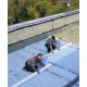 XENERGY SL PLUS