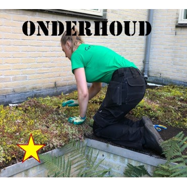 Onderhoud met de buren 1                  
