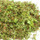 Onderhoudspakket sedum